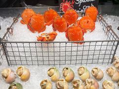 -Social 秀西餐厅-长沙瑞吉酒店(运达店)