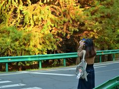 -南京市无想山景区