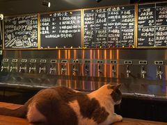 -后院儿·精酿·塔罗Happy Bar