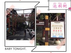 -泡桐树街