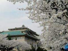 -武汉大学-樱园