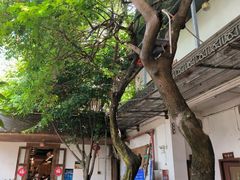 -横琴公社餐厅