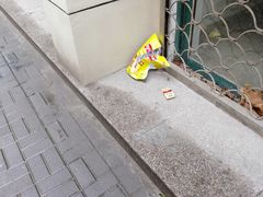 -老盛兴汤包馆(华灵店)