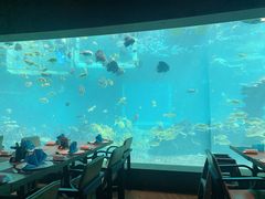 -海棠湾洲际-涛·海底餐厅·美人鱼·自助餐·海底隧道