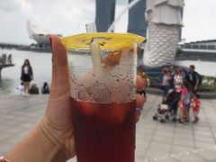 -鱼尾狮公园