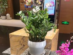 -黔蘑菇四季餐厅(观山湖店)