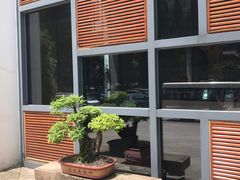 -九华山聚龙大酒店