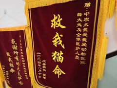 -中农大我爱我爱动物医院·核磁CT·猫病·24小时夜诊中心(石佛营店)