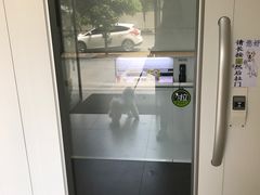 -谐和益家动物医院·免疫绝育·血液透析·宠保定点医院(高新伊藤分院)