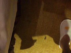 -维也纳酒店(罗湖口岸国贸东门店)