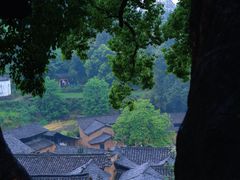 -杨家堂村