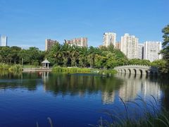 -四海公园(南山区)
