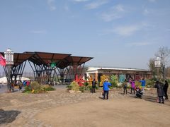 -上海长兴岛郊野公园