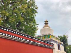 -塔尔寺