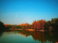 -东湖落雁景区