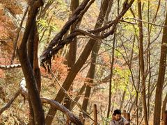 -五女峰国家森林公园