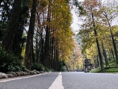 -青城山