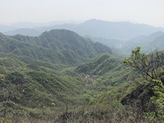 -大岭沟猕猴桃谷风景区