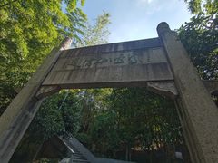 -紫金山索道-售票处