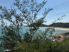 -广东惠东海龟国家级自然保护区