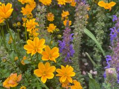 -徐家汇源景区-衡山公园