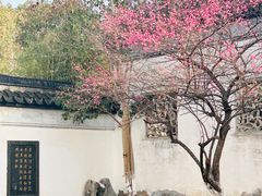 -八大山人梅湖景区