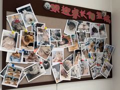 -立德异宠动物医院.兔鸟爬.内窥镜(天河店)