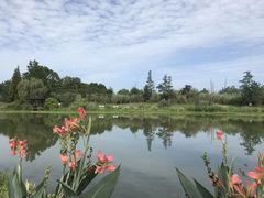 -桤木河湿地公园