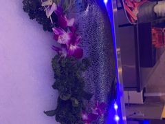 -海韵之星邮轮水会(明发商业广场店)