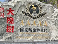 -大槐树寻根祭祖园