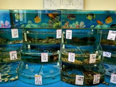 水产区-起士林西餐厅(东经路店)