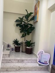 -海涛医疗美容·面部抗衰·注射美鼻