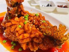 松鼠桂鱼-楚畹园