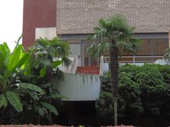 -浙江大学(玉泉校区)