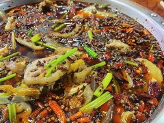 -耗儿鱼蛙蛙叫·老成都火锅(蛇口海昌街店)