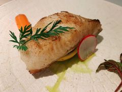 法式焗烤南极银鳕鱼-春树下·树屋花房西餐厅(罍街AS1980店)