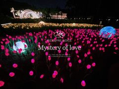 -南国桃园旅游度假区