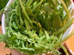 茼蒿-舒来喜鱼锅(伊河路店)