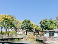 -陶缘一号·四季缘·老字号顺德菜·户外婚礼家宴(西滘店)