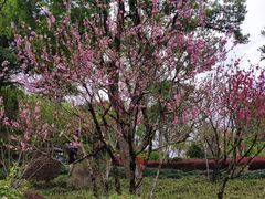 -乌山风景区