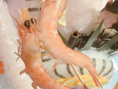 明虾-尚海豆捞(乐虹坊店)