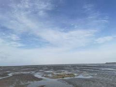 -红树林天天赶海