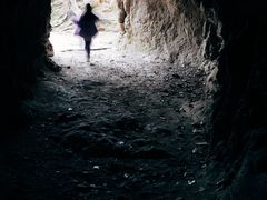 -上海佘山国家森林公园天马山园