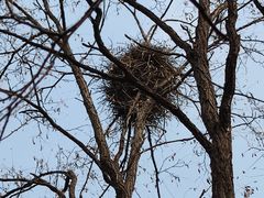 -森林公园(尖草坪区)