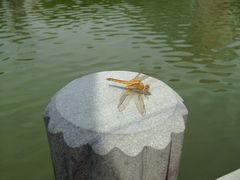 iphone_upload_pic-中国计量大学(西校区)