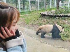 -西安秦岭野生动物园