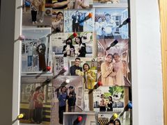 -青奢宠物·青奢猫舍