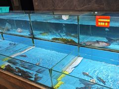 -饭怕鱼(阳光100店)