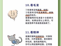 -翊宠yipet猫狗购宠庄园犬舍•猫舍