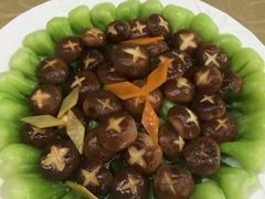 -爱妈妈家政 珠江新城